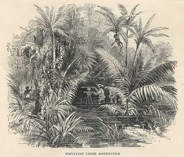 In its early days, public health combated genuine threats like yellow fever and malaria—the battles against which originated the phrase “drain the swamp.” (©MARY EVANS PICTURE LIBRARY / THE IMAGE WORKS)