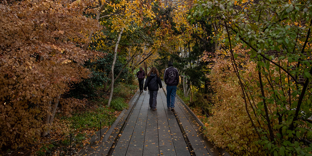 Reclaiming Our Public Spaces: Strategies to restore civility to our streets and parks - Vimarsana News