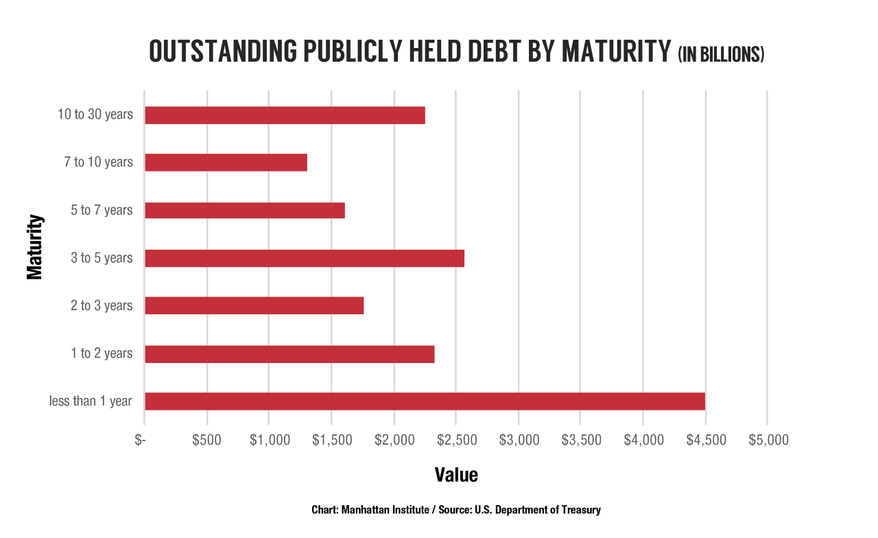 Public-Debt-Cost