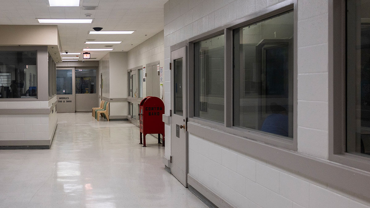 Yes, Somali Immigrants Commit More Crime Than Natives